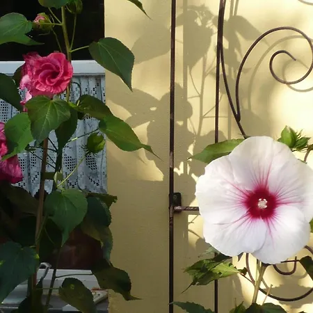 Daire Wintergarten In *